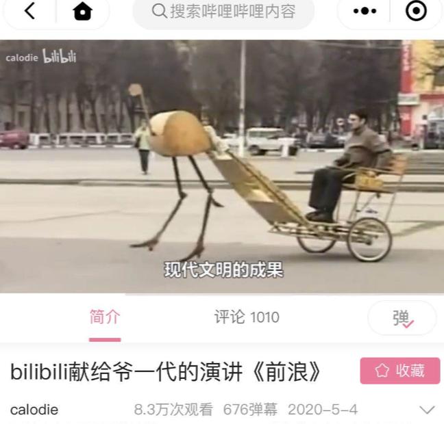 五四校庆礼仪组节目,上海五四中学校庆