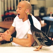 推荐一部喜剧电影,推荐一部喜剧