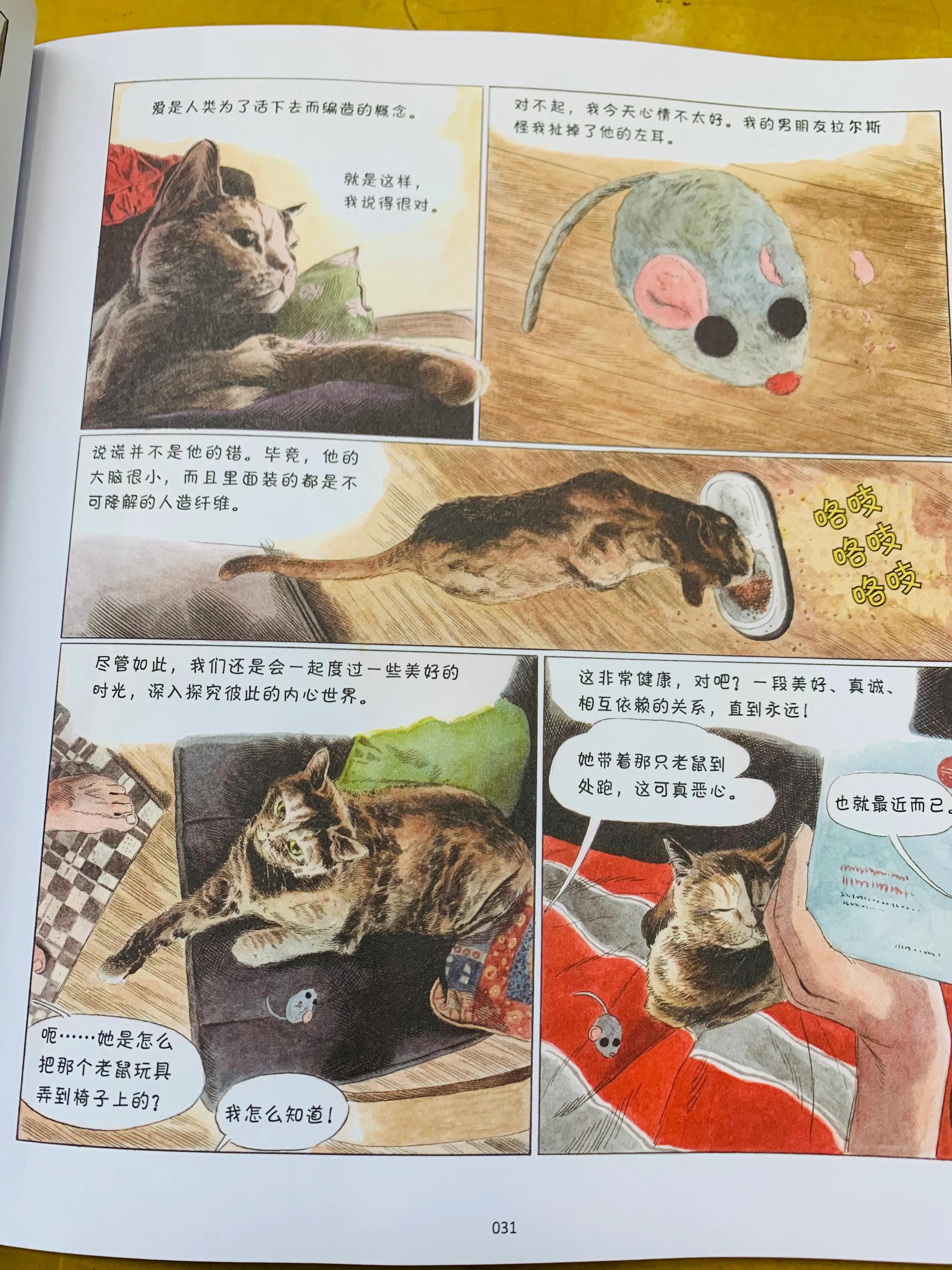 猫咪漫画治愈系短片,猫咪的搞笑漫画
