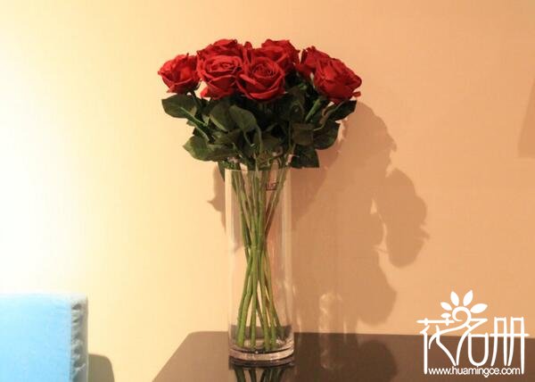 玫瑰花保鲜的5种方法,玫瑰花的保存方法和时间