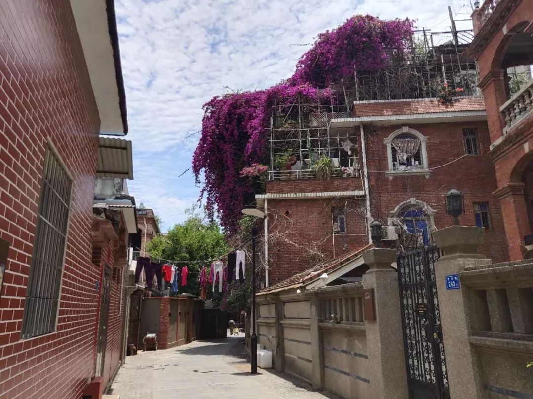 九分钟带您了解鼓浪屿攻略,游玩鼓浪屿攻略路线推荐