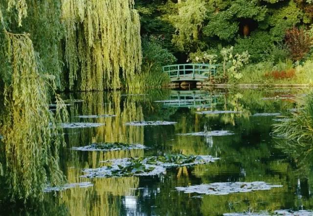 莫奈作品高清大图名画睡莲,莫奈的画高清大图睡莲