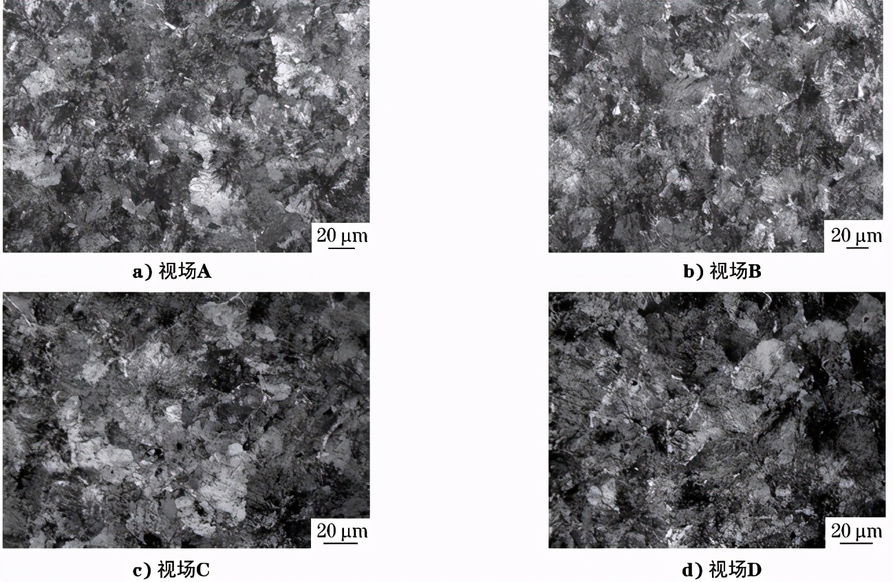 金相显微分析,彩色金相组织图谱