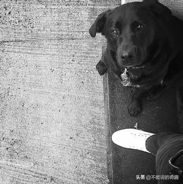 一张让人心碎的照片,这张照片让人落泪