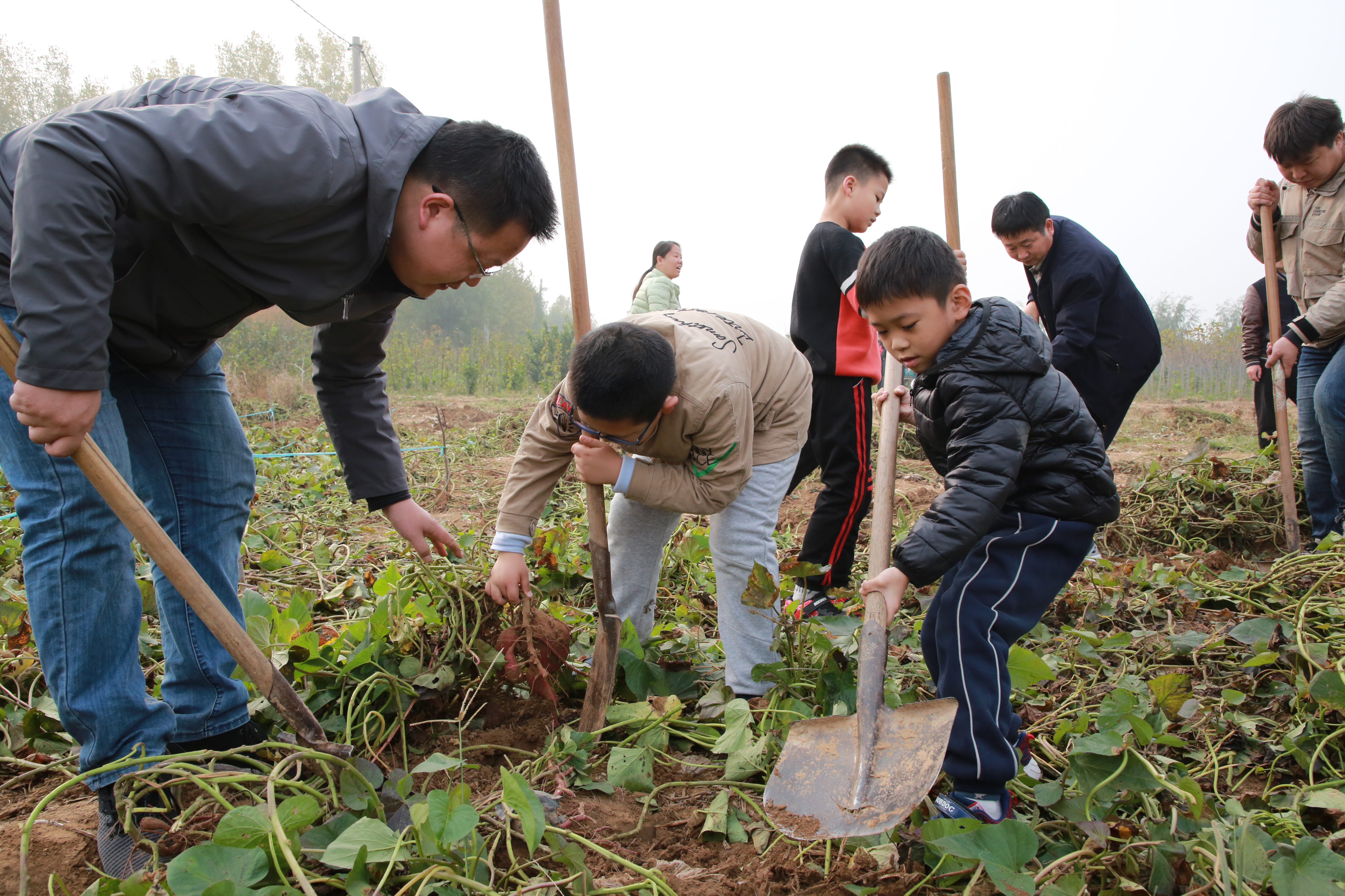 浩宇农庄丛林探险项目都有哪些,安阳殷墟浩宇农庄