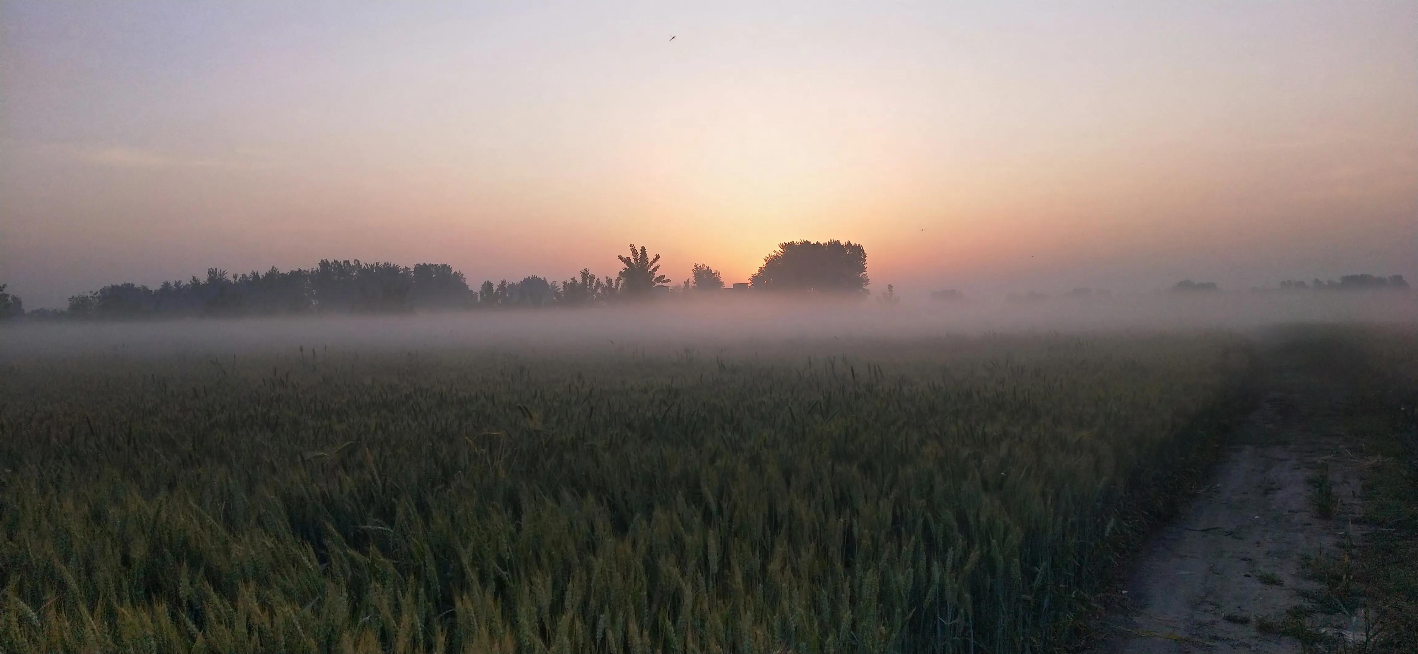 罗生门真实的情况是什么,加沙医院遇袭真相引发罗生门