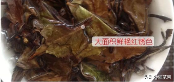 怎么辨别做旧老白茶,学会这6招鉴别新茶和老茶