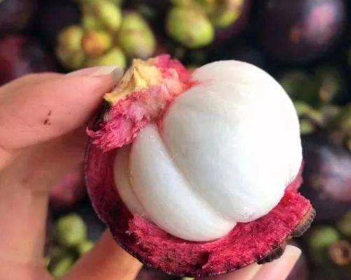 山竹挑选小技巧学会了个个都新鲜,如何挑选山竹才是最新鲜的