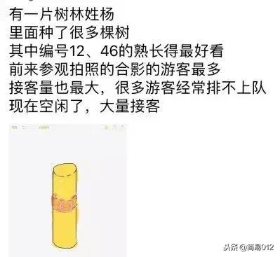 年度最佳造型师,最佳设计师颁奖