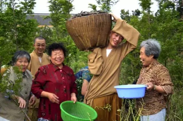 农禅并重完整版,农禅并重的寺院