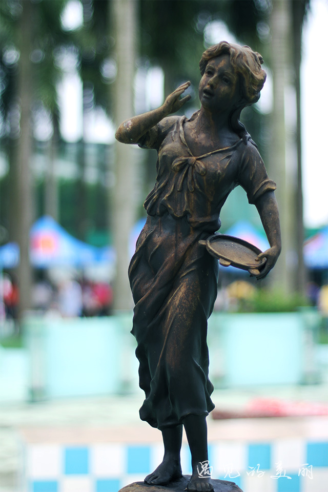 百万葵园有多坑,百万葵园免门票