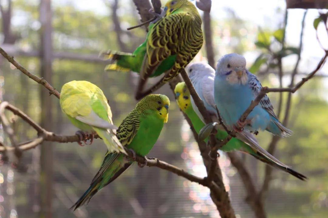 清远森波拉温泉奇妙世界,清远森波拉温泉旅游攻略