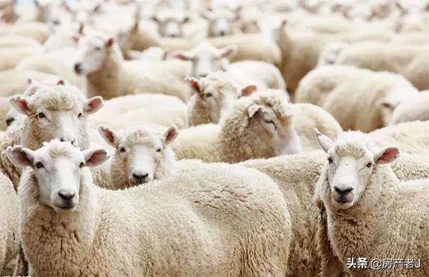 皮衣衣服皱巴巴怎么弄平整,皮衣服有褶皱怎么弄平