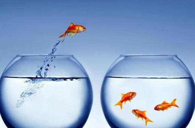 辞职报告怎么写最简单最有效,辞职报告最简单的方式怎么写