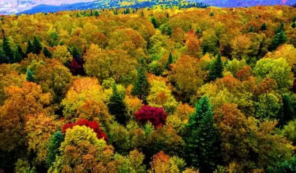 10个小众地方,十个冷门小众国家