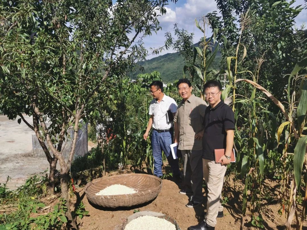 泽如凯风惠如时雨意思,泽如凯风惠如时雨出处