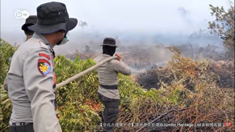 第4027回:气候*弹炸**亚洲纸浆,水上烟泥炭地退化