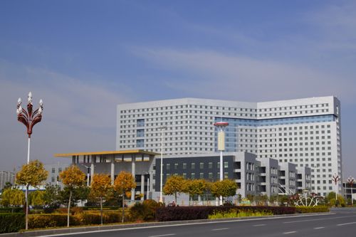 伤寒论治胆汁反流胃炎,中医陈玉龙教授胆汁反流性胃炎