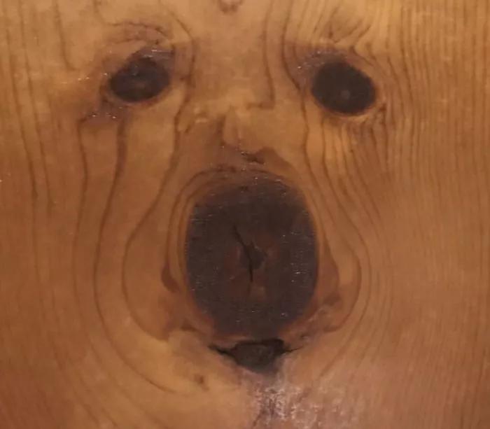 神奇的大自然巧合图片,大自然的神奇巧合惊人的史前文明