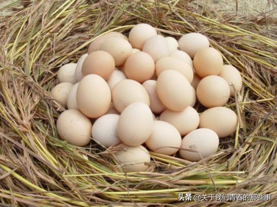 夏天,鸡蛋别放冰箱了!外婆教我2个方法,1个月不坏,和鲜蛋一样