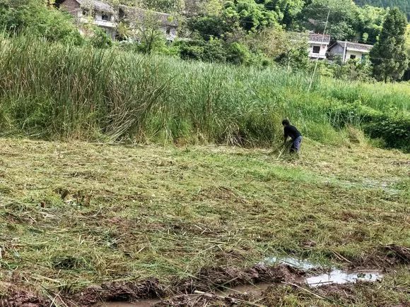 娴峰矝鏈ㄧ瓘婕傛祦,娴峰矝閽撻奔鎺㈤櫓