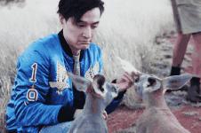 澳洲零食哪个牌子好,澳洲零食测评宝宝