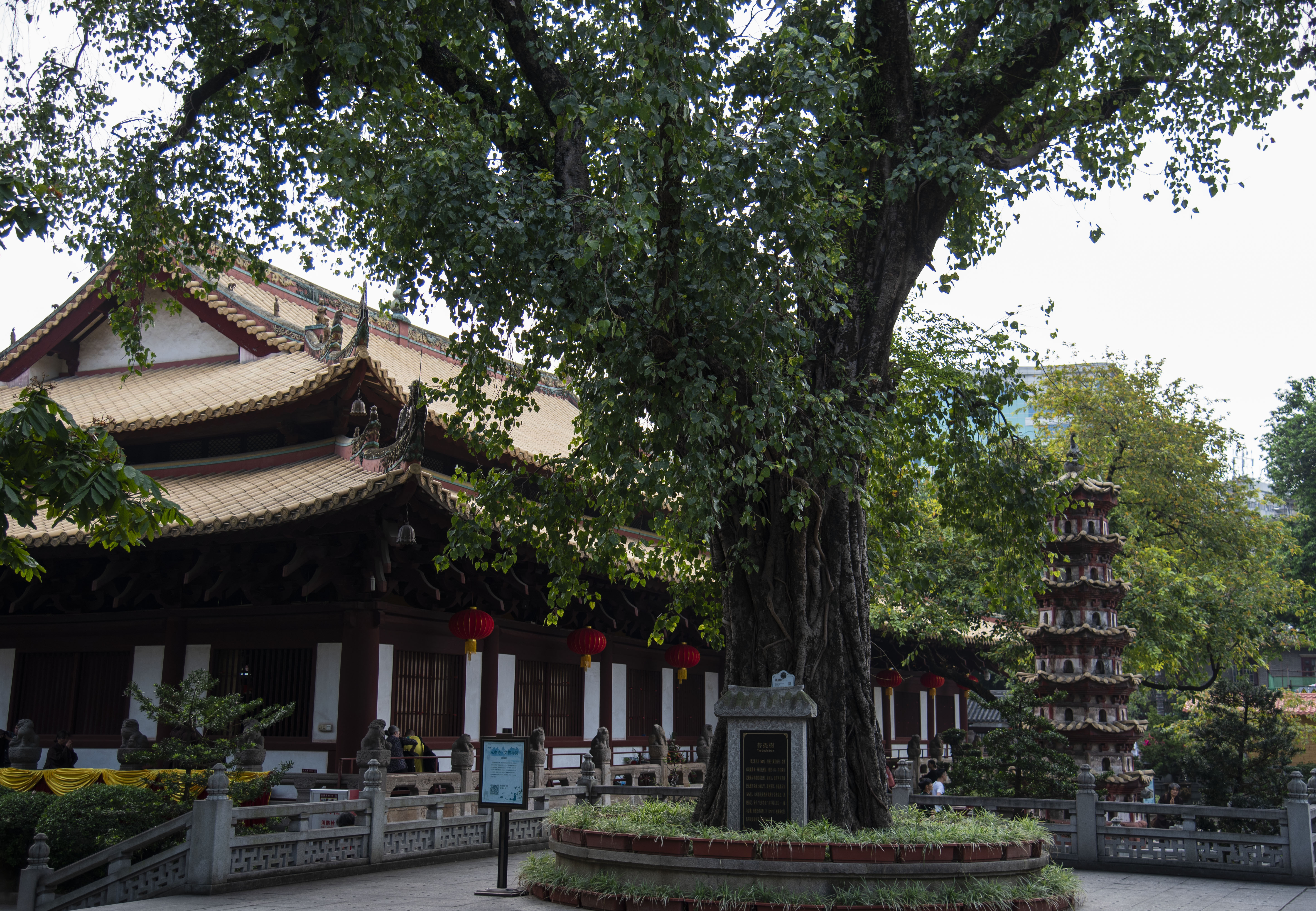 中国佛教惠能,惠能大师是南传佛教吗