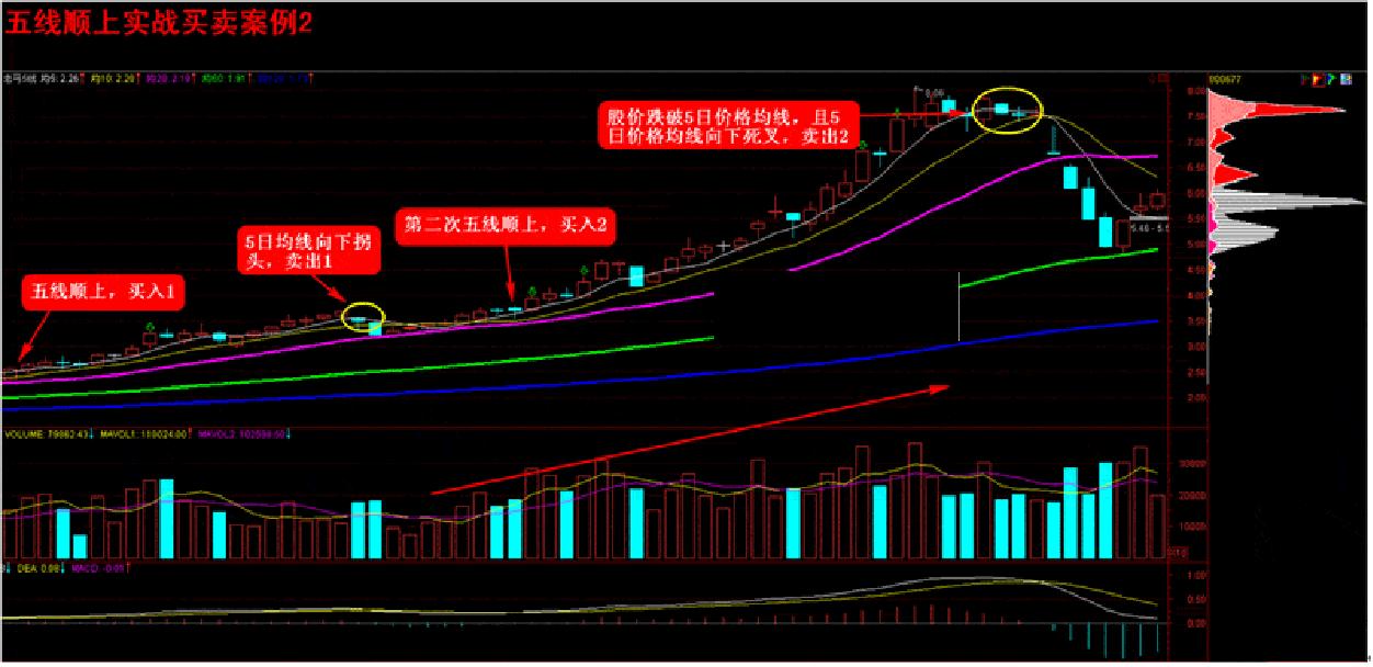 一招定乾坤之黑马选股公式,股票指标基础选股技巧详解