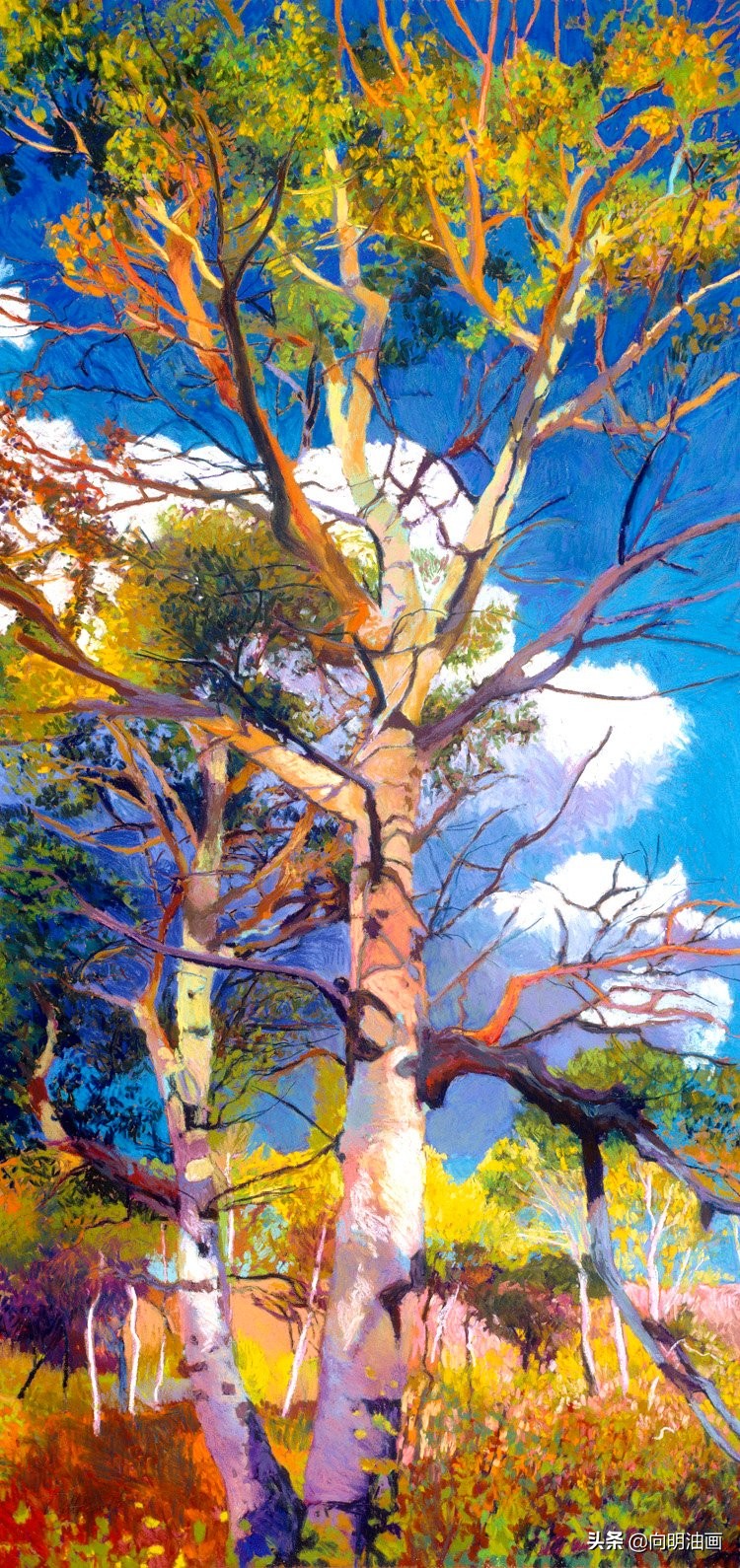 美国艺术家艾伦·迪特布兰特魔法森林的叶子沙沙作响