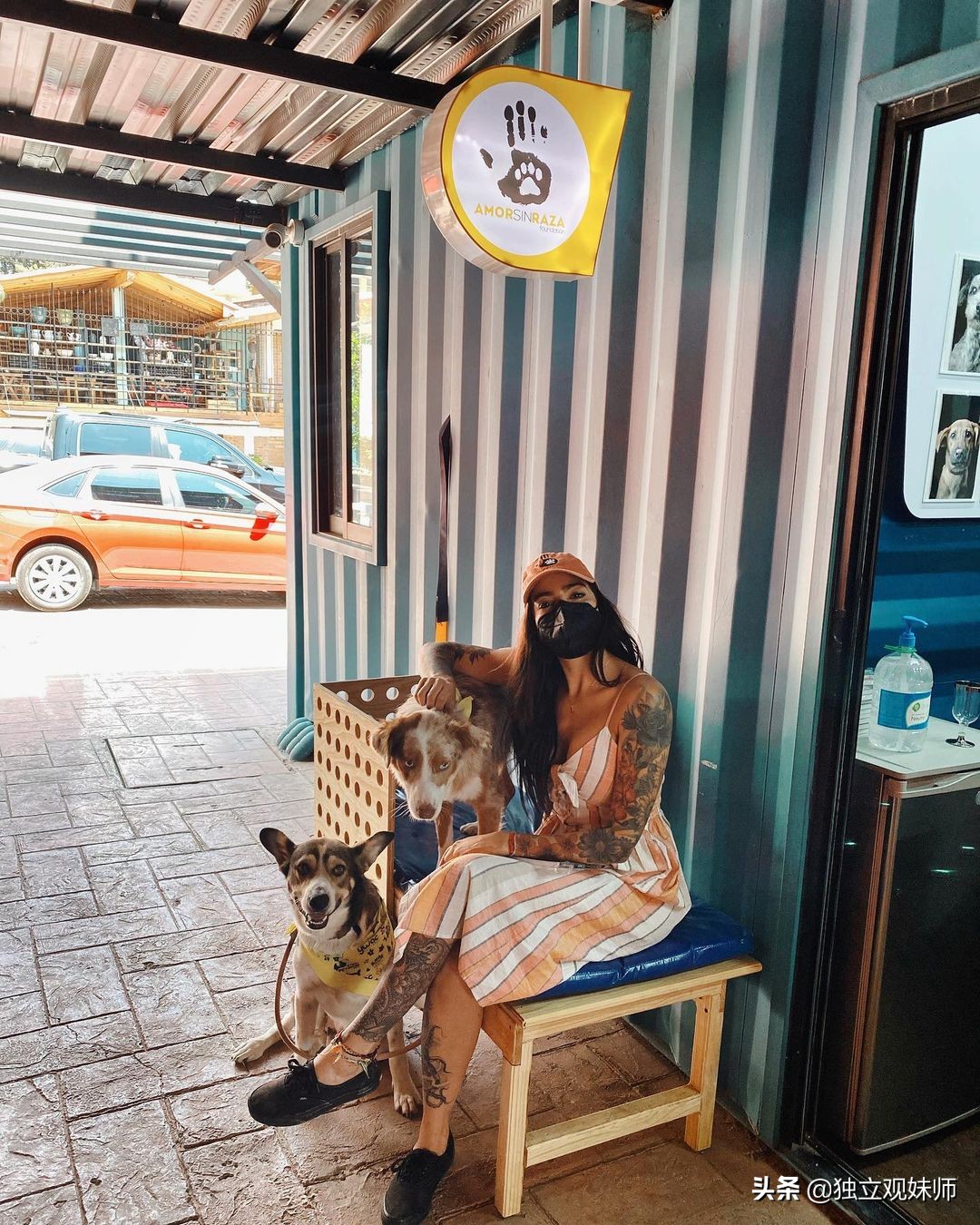 美女费尔南德斯,环球美女超模娜塔莉亚