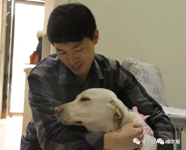 请用绝育保护它——宠物营养师亲身讲述自家爱犬绝育经历