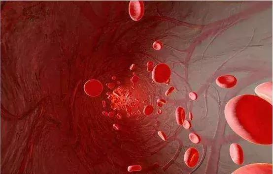 子宫腺肌瘤能吃阿胶吗,有腺肌瘤可以吃蜂蜜吗