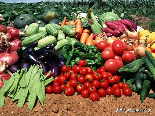 建设农村电商服务站必要性,用好农村电商服务站点