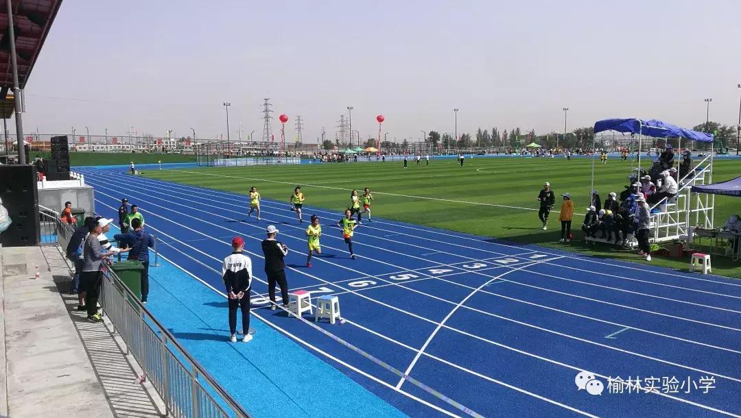 阳光少年展示,阳光少年展风采