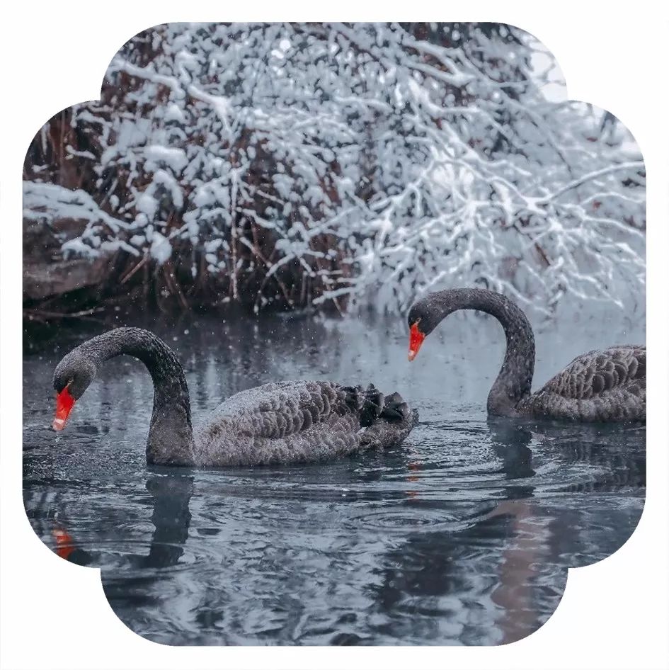 初冬的苏州古城,深秋苏州古城景色