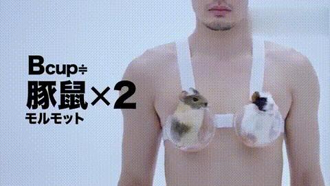 一个正经的问题应该怎么问,一般人一个乳房重量是多少