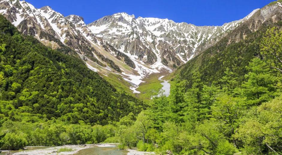 玩转日本京都,玩转日本东京大阪自由行