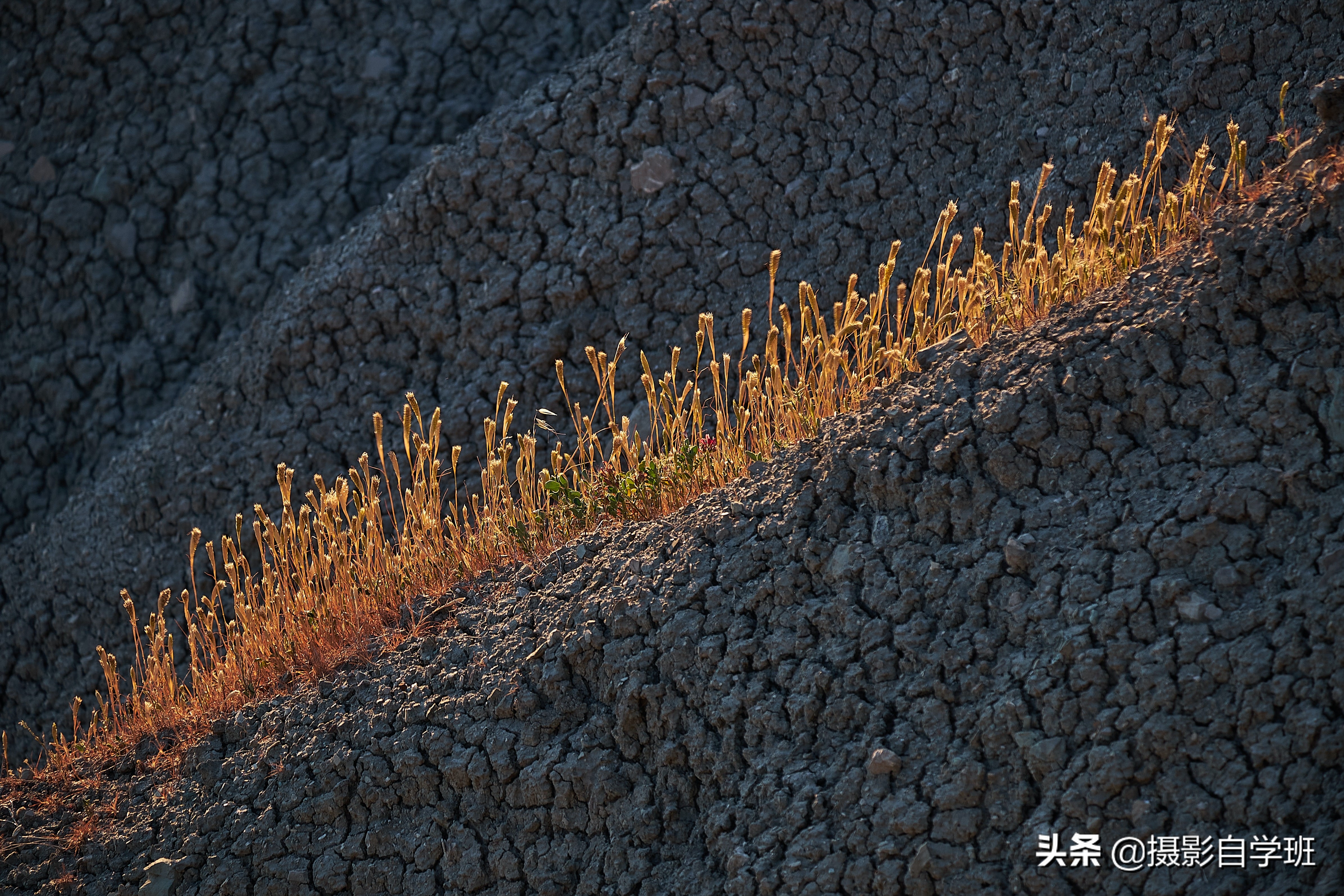 风景摄影十大必备技巧,拍风景的技巧用什么相机