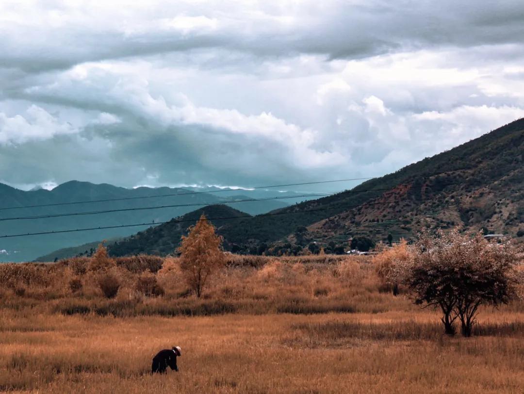 怎样拍云的视频,拍云的技巧和方法