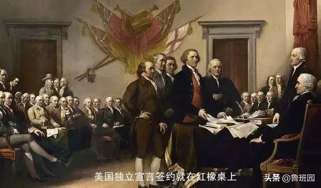 橡木种类大全及图片,史上最专业橡木介绍快来收藏吧