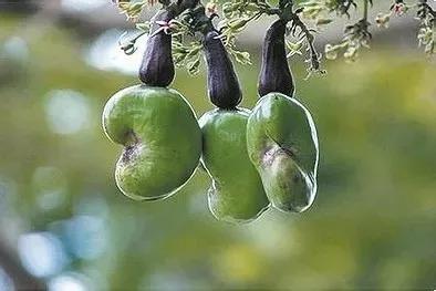 乐东一座什么样的小城,海南乐东最好的城市