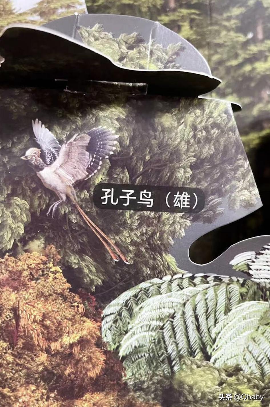 恐龙大百科恐龙探秘,恐龙探秘恐龙化石