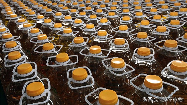 抓癞蛤蟆手上长的疙瘩叫什么,摸了癞蛤蟆手上长的小疙瘩