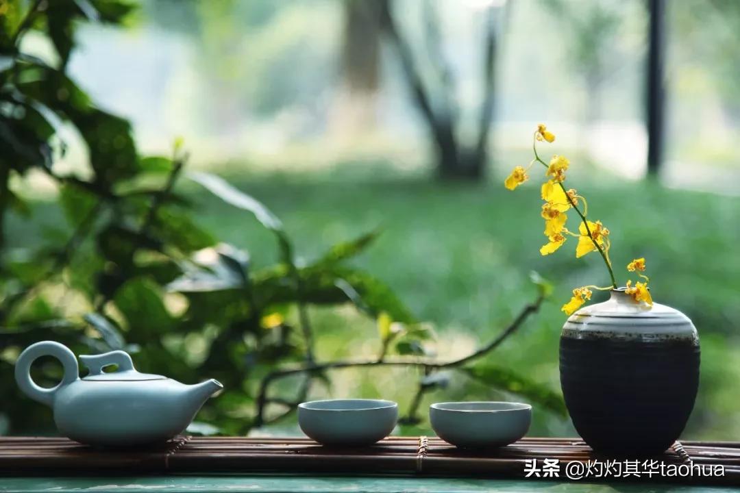 中文到底有多美这篇文章告诉你,中文到底有多美原文