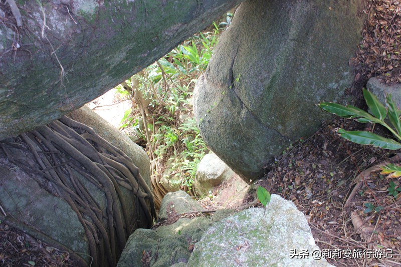 广东旅游海边巽寮湾,巽寮湾捕鱼体验景点