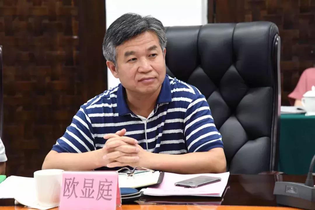 菜篮子探访,大湾区菜篮子基地