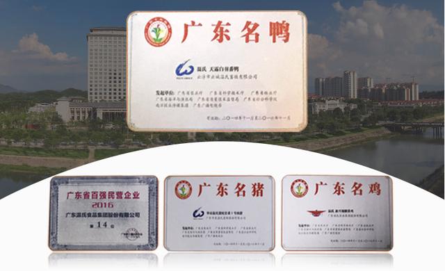 鸭肉是滋补佳品吗,鸭肉属于优质脂肪吗