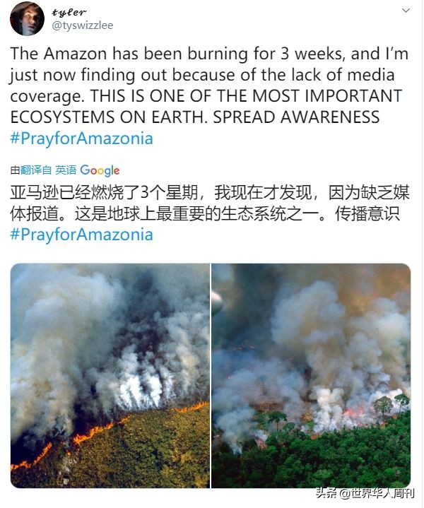 亚马逊雨林救动物,地球之肺亚马逊雨林