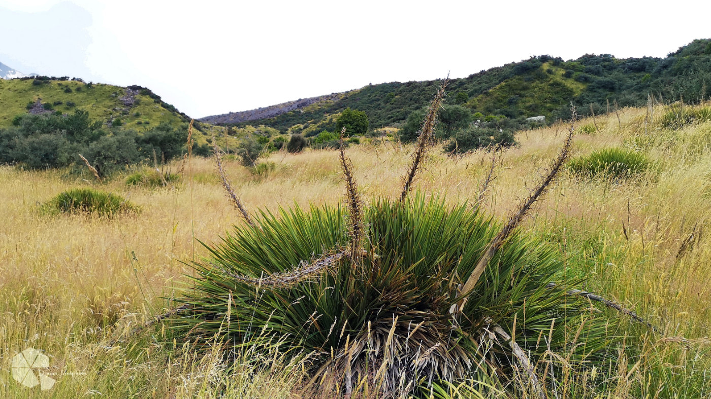 新西兰南岛一日游,新西兰南岛旅游地图