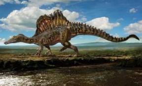 十大肉食性恐龙排名,肉食性恐龙吃什么